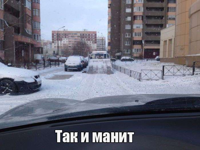 Прикольная фотоподборка