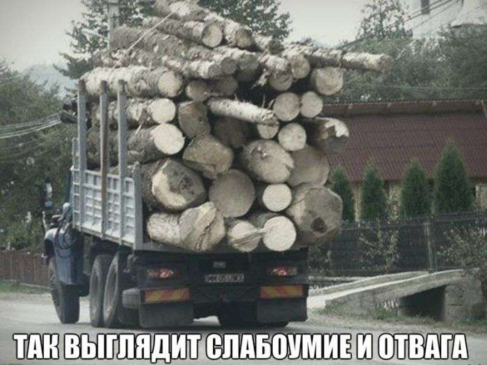 Порция автоюмора