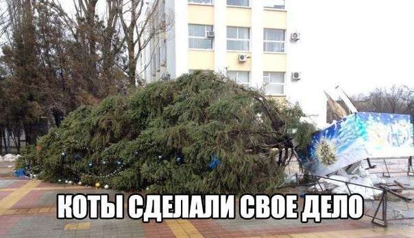 Улыбательные картинки с надписями
