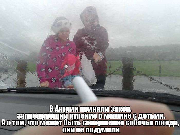 Юмористичные фотографии