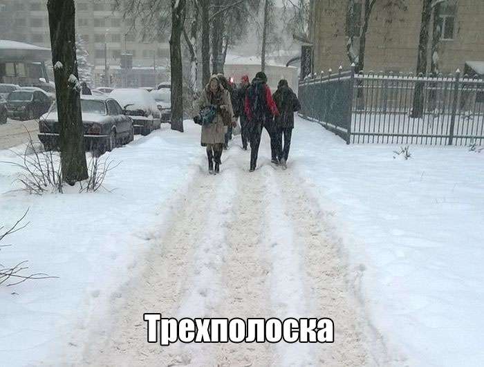 Фото приколы на злобу дня