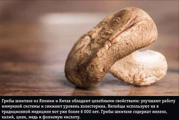 Здоровая еда из разных стран мира