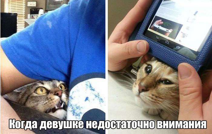 Веселые фото приколы