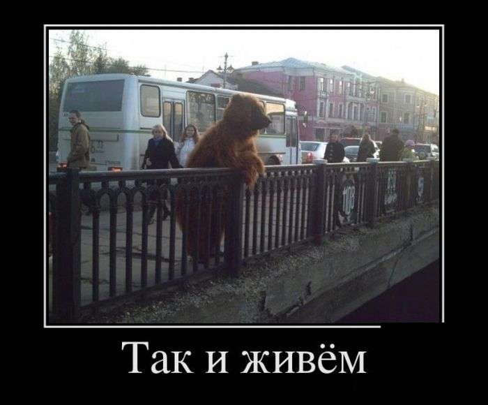 Демотиваторы
