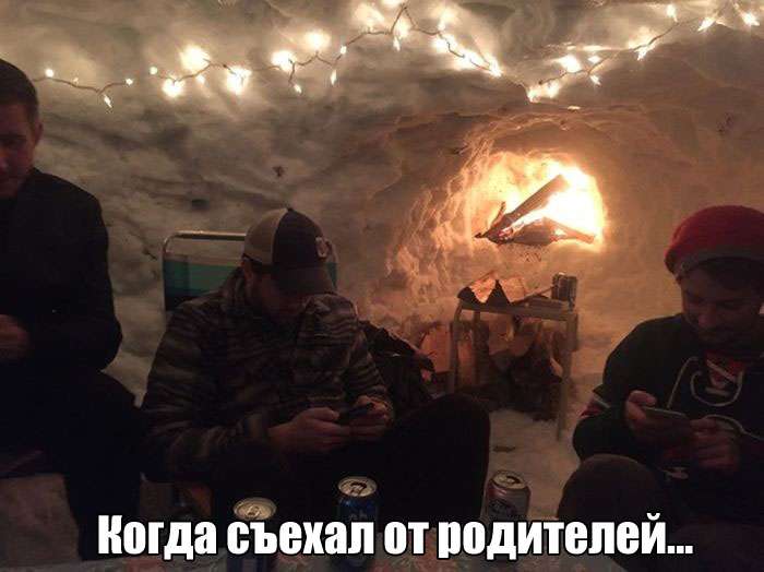 Забавные картинки