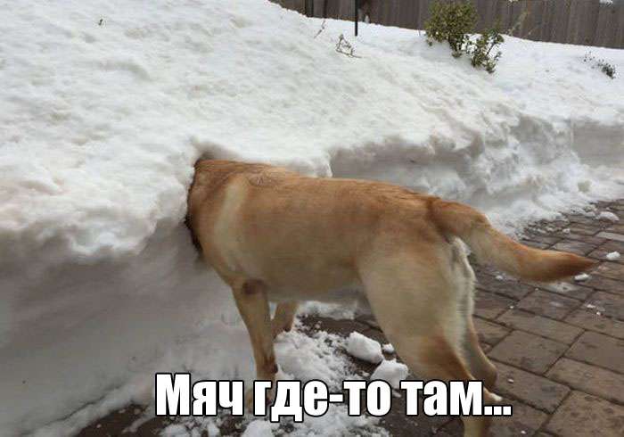 Прикольная фотоподборка