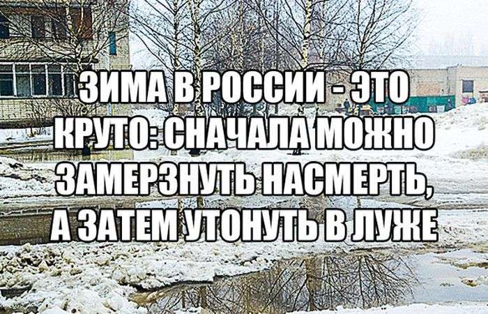 Прикольные фотографии