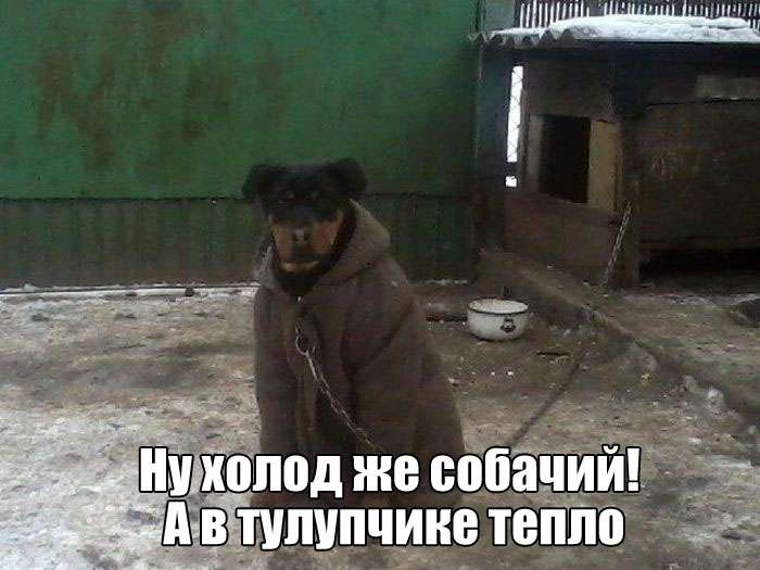 Свежие фото приколы