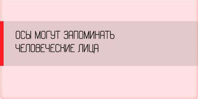 Занимательные факты о разных аспектах жизни