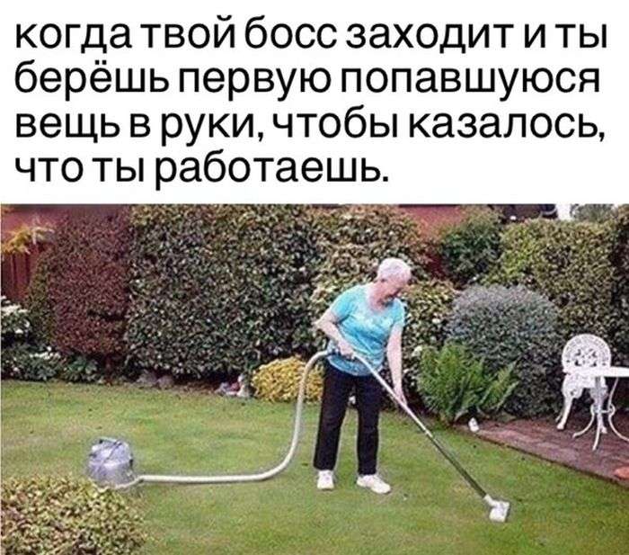 Забавные фотографии