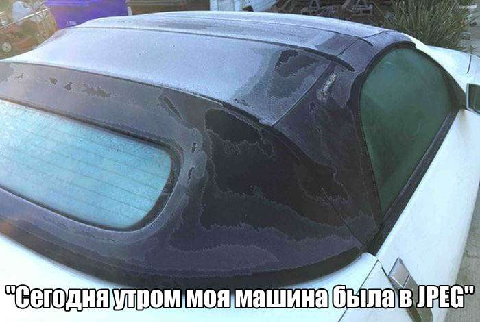 Забавные фото приколы