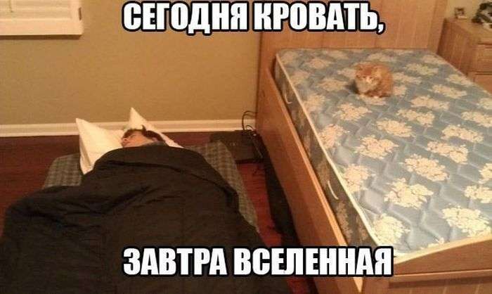 Прикольные фотографии