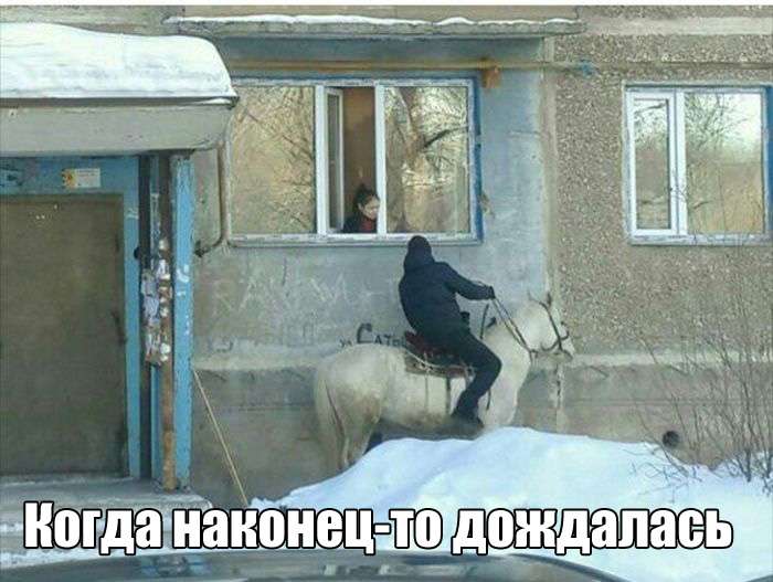 Фото приколы