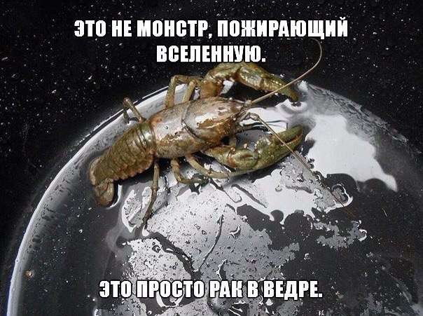 Обман зрения