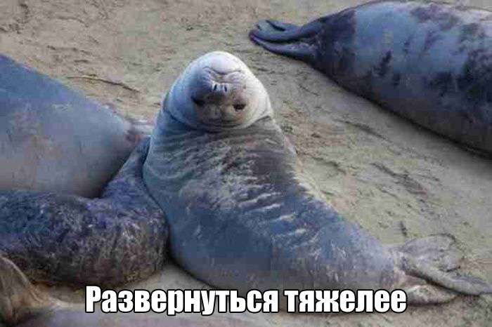 Забавные фотки