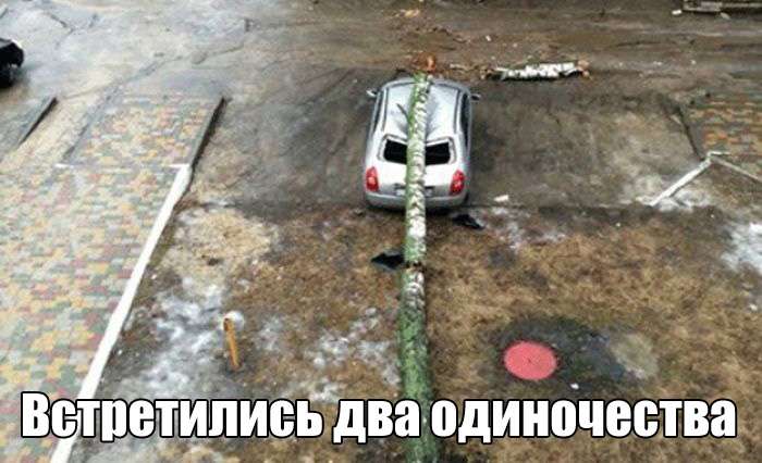 Юмористичная подборка фотографий