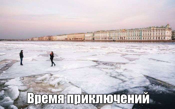 Юмористичные фото