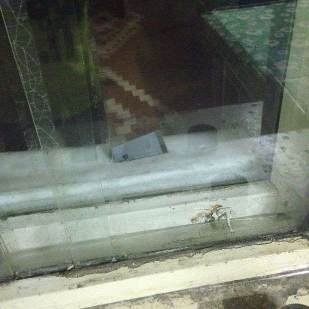 Злая шутка