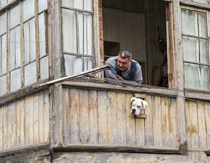 Приколы из России