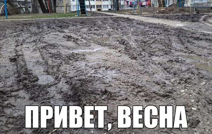 Прикольная фотоподборка