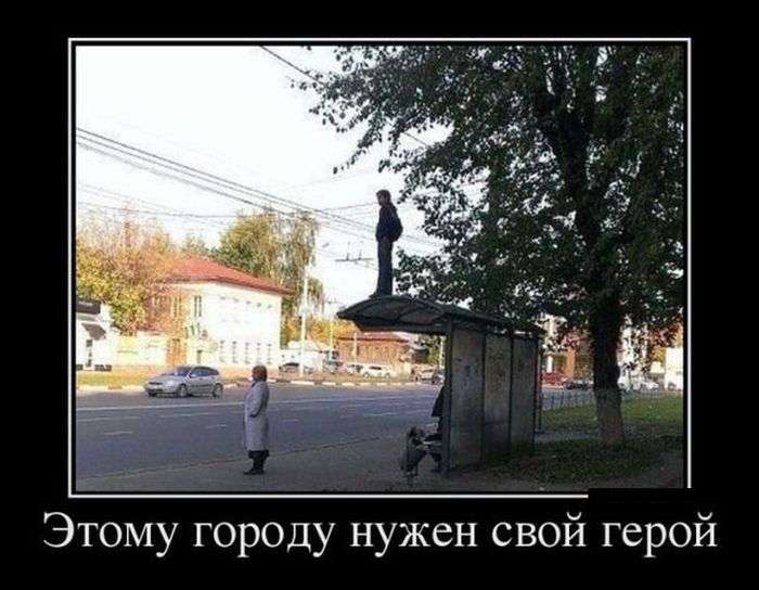 Демотиваторы