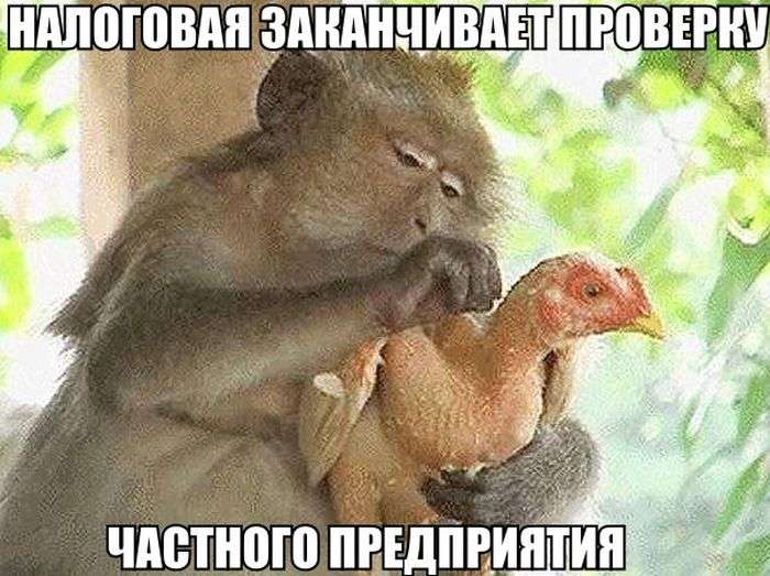 Фото приколы