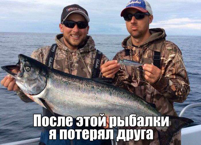 Юморные фотографии