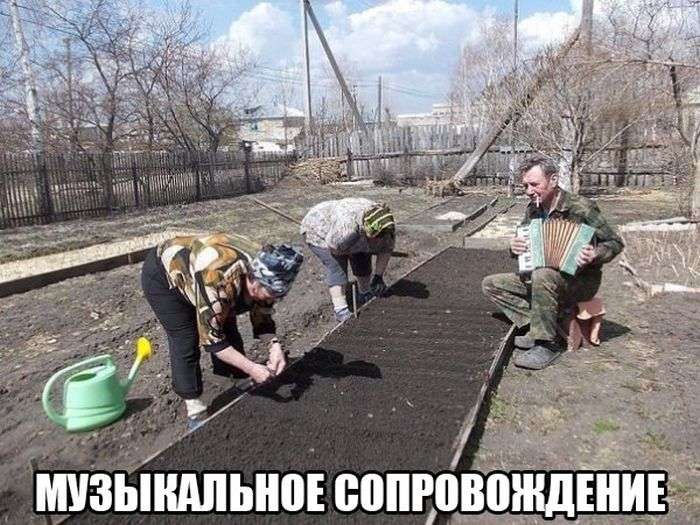 Классная подборка веселых фото