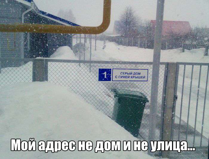 Прикольные картинки