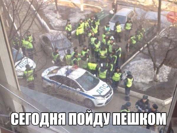 Смешные картинки с надписями