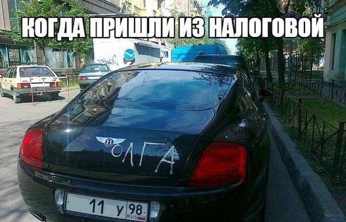 Забавная фотоподборка