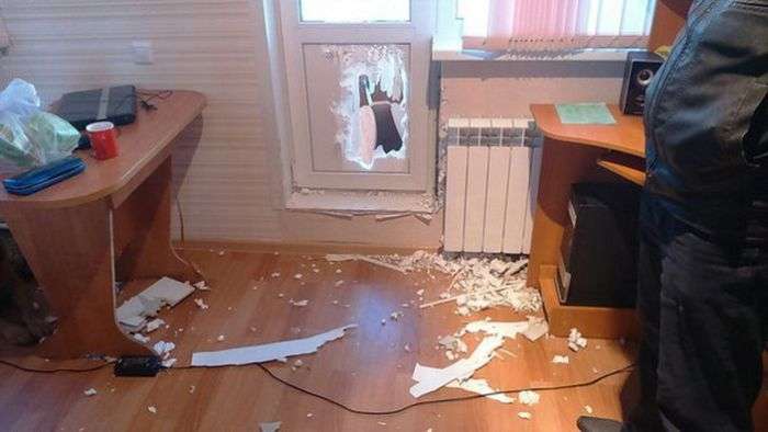 Вот это любовь
