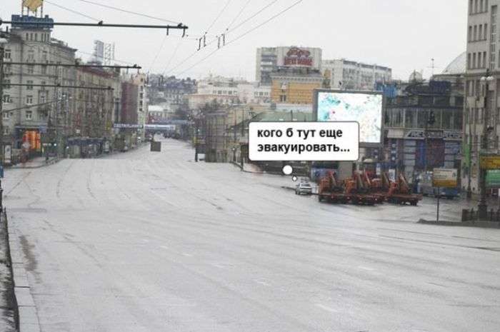Прикольные картинки