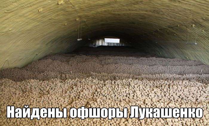 Юмористичные фотографии