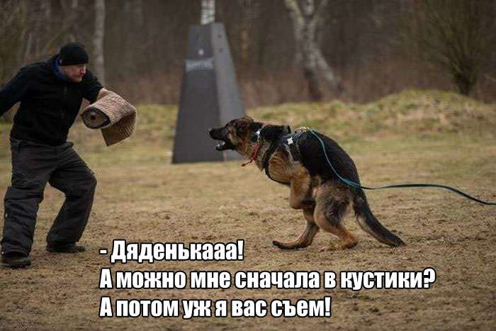 Юмористичные фото