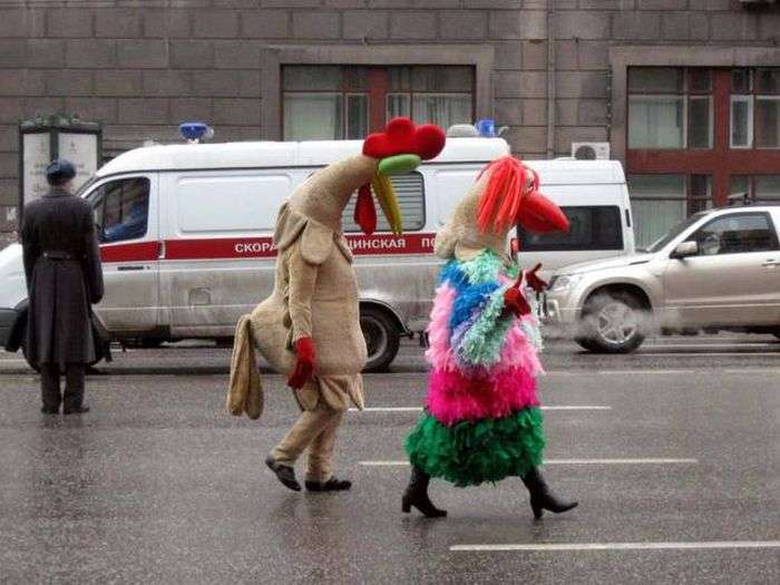 Российские приколы