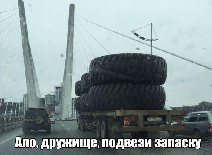 Юмористичные фотографии