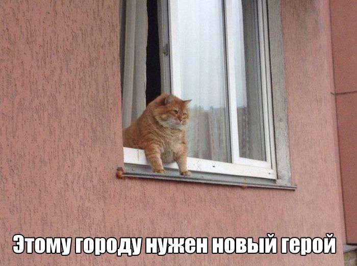 Прикольная фотоподборка