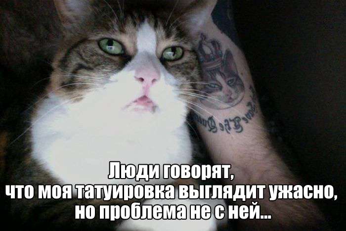 Юмористичные фото