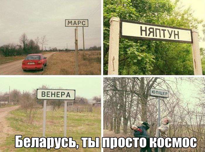 Прикольные картинки