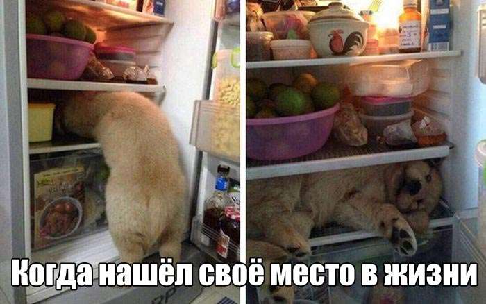 Позитива пост