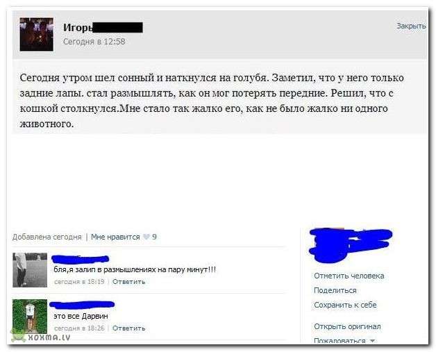 Комментарии из социальных сетей