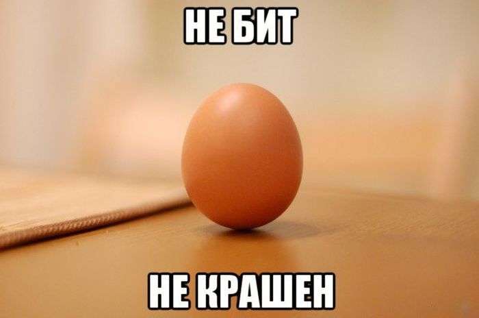 Прикольная фотоподборка
