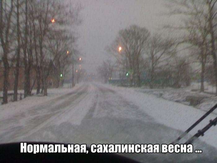 Юмор в каждой фотографии
