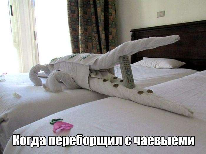 Юмористичные фотографии