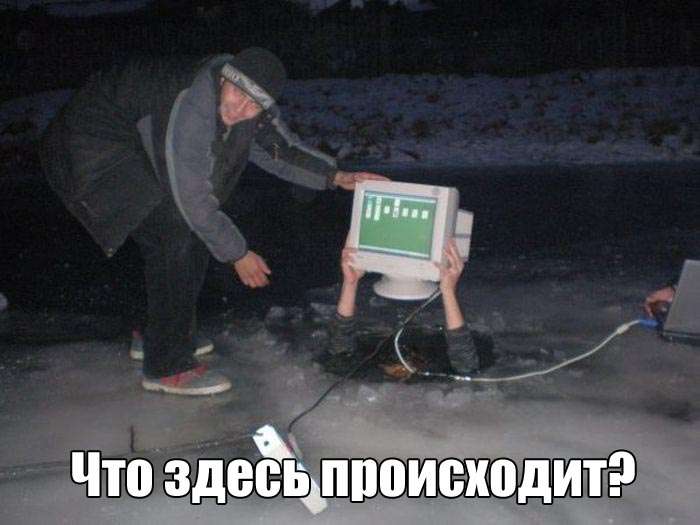 Прикольные картинки