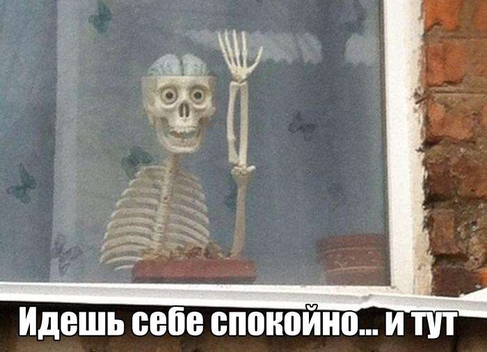 Фотографии с юмором