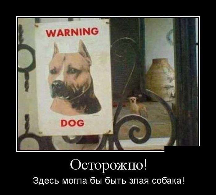 Улыбательные демотиваторы