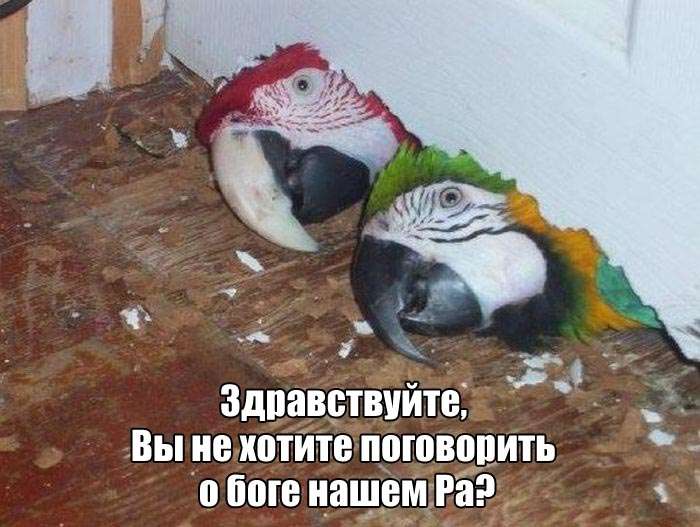 Прикольные фото
