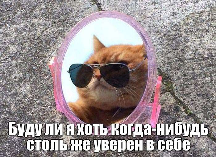 Классная фотоподборка